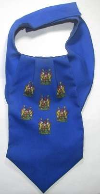 SADF - State Presidents Gaurd Cravat