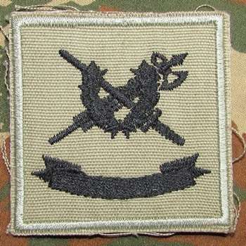SANDF - Internal Audit and Investigator Practitioner Badge