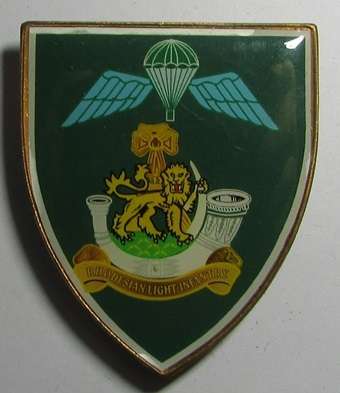 Rhodesia - RLI  Fantasy Shoulder Flash