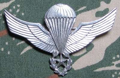 Chile Master Parachute Wing