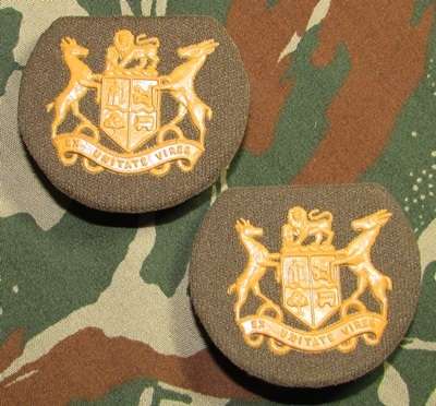 SADF - Nutria Army WO Class 2 Rank Pair