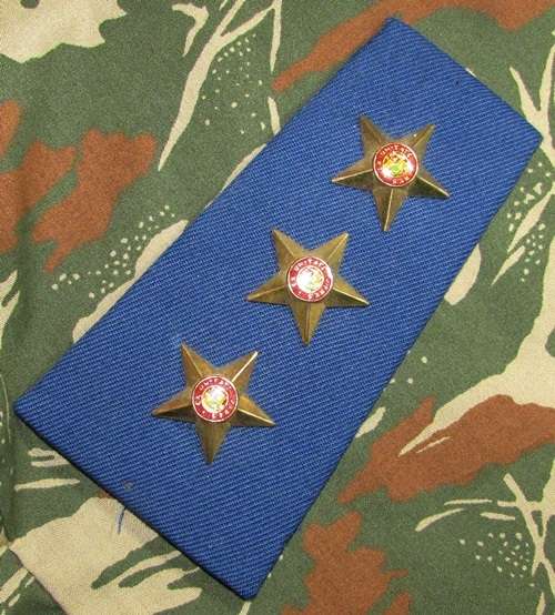 SADF -  SAAF Captain Rank Board