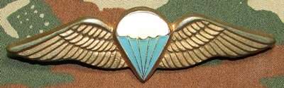 SADF - Basic Parachute Wing - Full Size
