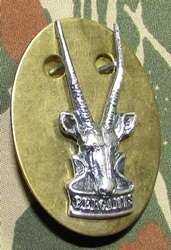 SADF - SWATF HQ Oxidised Silver Beret Badge