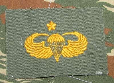Republic of China Basic Cloth Wing