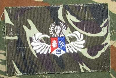 Republic of China Special Forces Cloth Wing