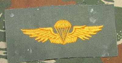 United States Marine Corps Cloth Wing