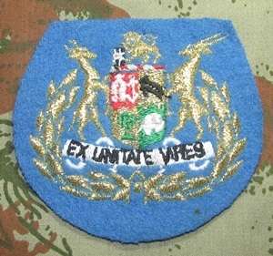 SADF - SAAF Regimental Sergeant Major (RSM)  Rank Badge