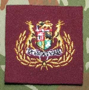SADF - Medical Corps WO Rank Badge