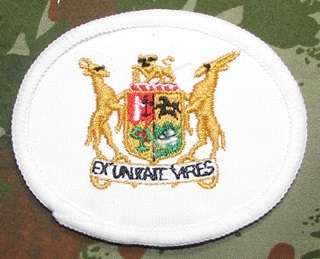 SADF - Navy Warrant Officer Class 2 Rank Badge