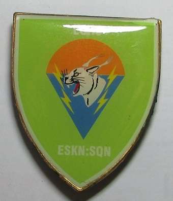 SADF - 61 Mechanised Brigade Echo Coy Fantasy Shoulder Flash