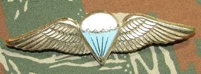 SADF - Basic Parachute Wing - Full Size