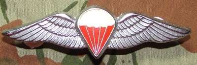 SADF - Parachute Freefall Wing - Full Size