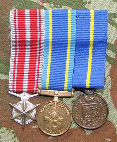 SA Police Combating Terrorism/ 75 Years / Faithful Service Mounted Miniatures