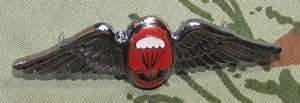 SADF - Parachute Instructor ( Free Fall Qualified ) Mess Dress Wing