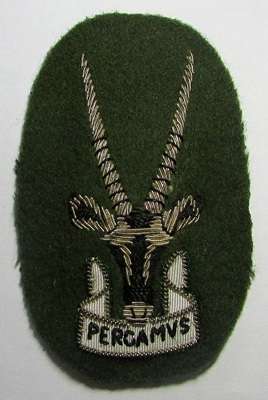 SADF - SWATF  Senior Officers, Non Staff Qualified Cap Badge
