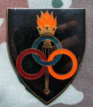 SADF - Services School Shoulder Flash