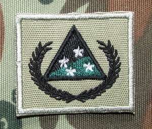 SANDF -  Embroided Infantry Reconnaissance Platoon Badge