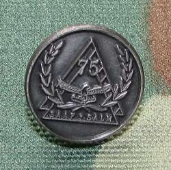 SADF - SAAF 75 Year Commemoration Lapel Badge