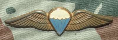 SADF - Basic Parachute Wing