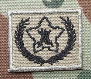 SANDF - Voluntary Service Breast Badge