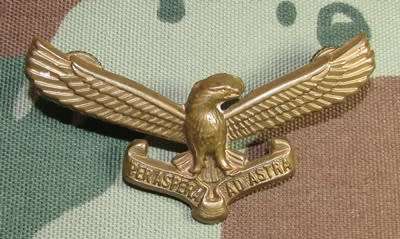 SADF - Air Force Cap Badge