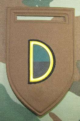 SADF - Infantry Foxtrot Company Tupper Flash