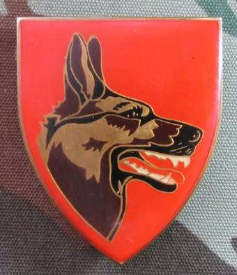 SADF - Dog Center Shoulder Flash