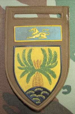 SADF - 4 SA Infantry Battalion Tupper Flash