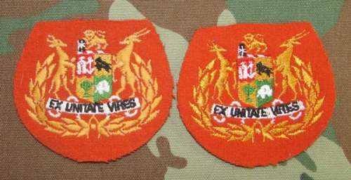 SADF - Regimental Sergeant Major Rank Pair