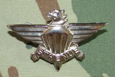 SANDF - 3 Parachute Battalion Beret Badge ( Cast )