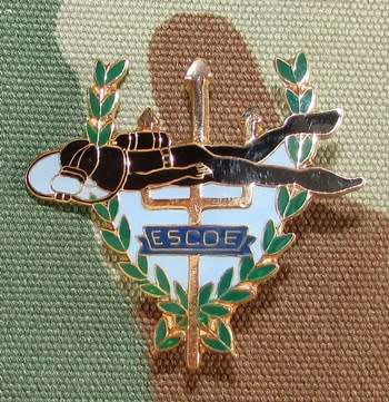 Venezuela Army Special Operations Forces Combat Diver Badge