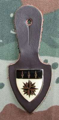 SADF - 1 Recce ( Special Forces ) Fob Flash