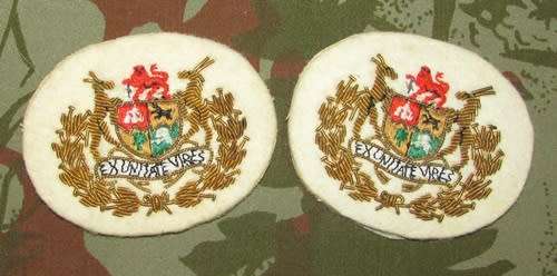SADF - Navy WO Rank Pair