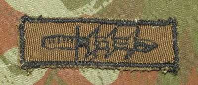 SADF - 61 Mech Nutria Badge