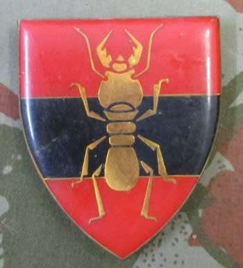 SADF - 1 Contruction Regiment Shoulder Flash