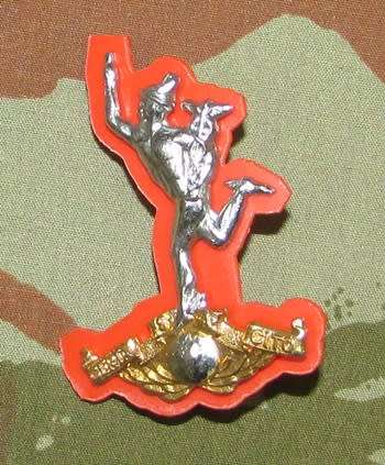 SADF - Corps of Signals Cap Badge