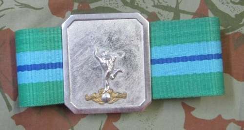 SADF - Army Signals Stable Belt