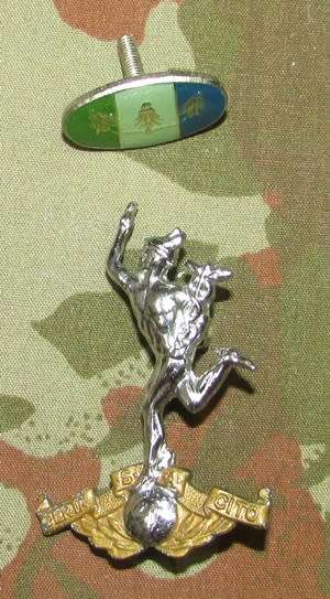 SADF - Signals Cap with Button Badge