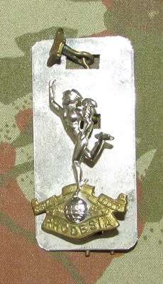 Rhodesia Signals Cap Badge