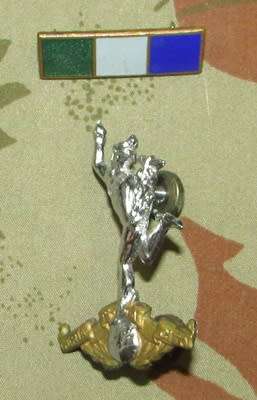 SADF - Signals Cap Badge with Beret Bar