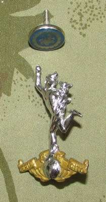 SADF - Signals Cap Badge with 3 Elecrtonic Button Badge