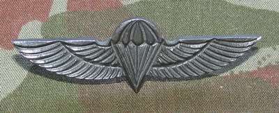SADF - Recce ( Hunter Group ) Silver Wing ( Possible Re-Strike )
