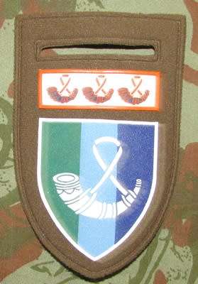 SADF - OFS Signals Tupper Flash ( Broad Rim )