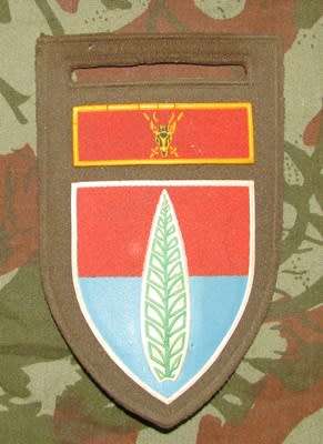 SADF - Air Defence Tupper Flash