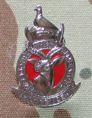 Rhodesia - Defence Regiment Cap Badge