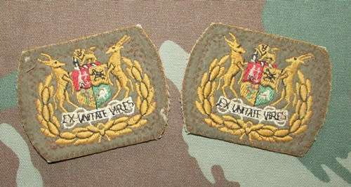 SADF - WO Rank Pair