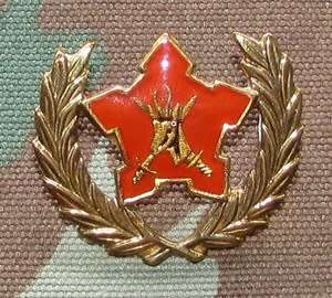 SADF - Voluntary Service Breast Badge