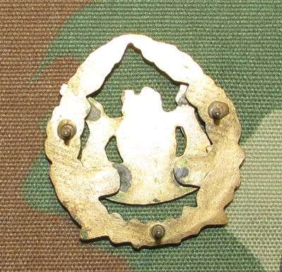 Correctional Services Rank Badge