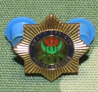 SAP Pin Badge